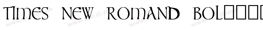 TIMES NEW ROMAND BOL字体转换